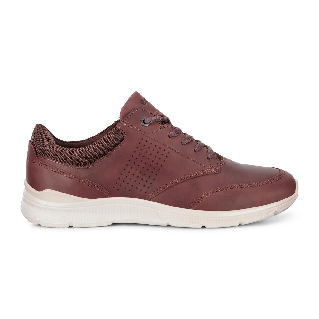 Baskets Ecco Irving Casual Tie Homme Marron 2487-JACGI